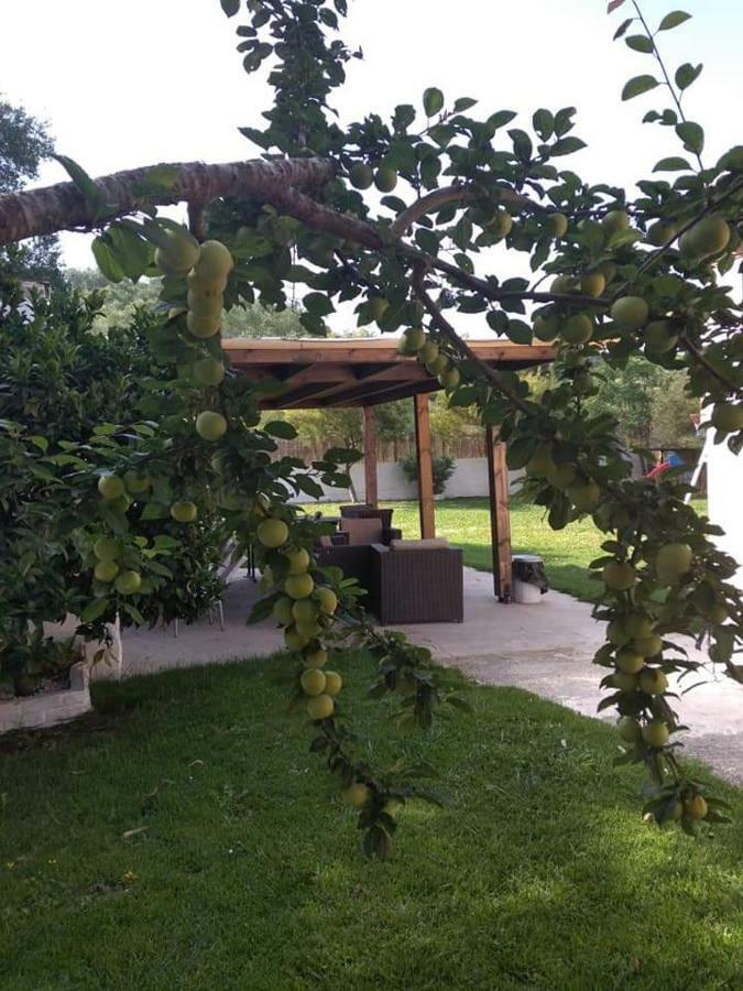 Villa Thanos Marathiás Buitenkant foto